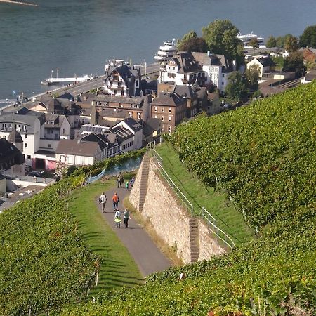 Hotel Gasthof Schuster Und Gaestehaus Rüdesheim am Rhein Dış mekan fotoğraf