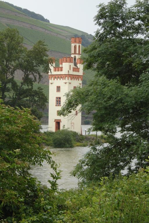 Hotel Gasthof Schuster Und Gaestehaus Rüdesheim am Rhein Dış mekan fotoğraf