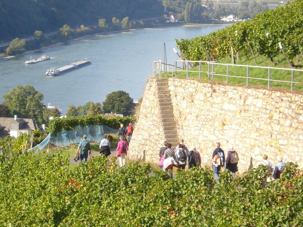 Hotel Gasthof Schuster Und Gaestehaus Rüdesheim am Rhein Dış mekan fotoğraf