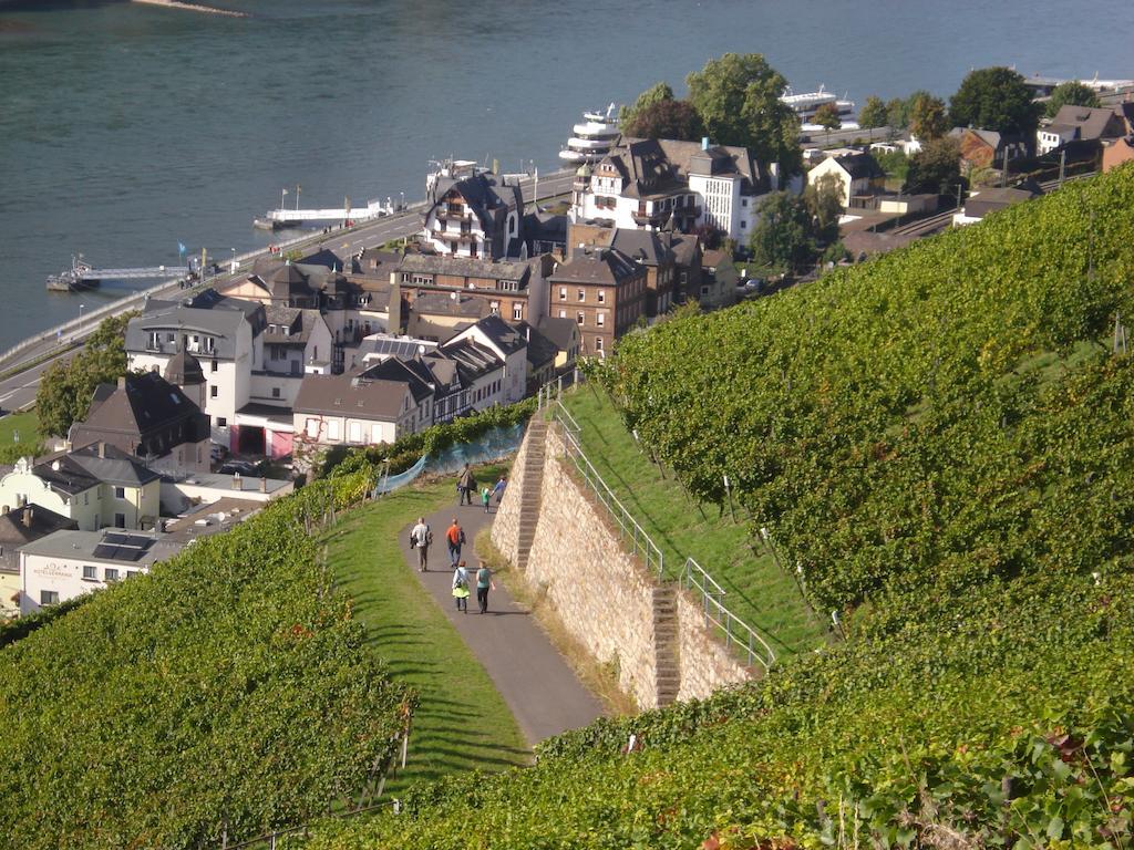 Hotel Gasthof Schuster Und Gaestehaus Rüdesheim am Rhein Dış mekan fotoğraf